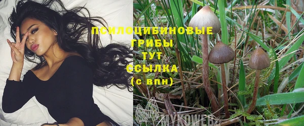 мяу мяу кристалл Надым