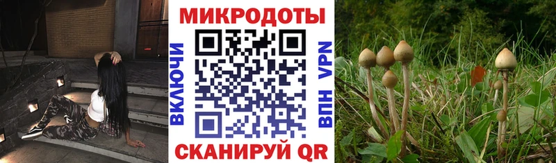 Псилоцибиновые грибы Cubensis  Павлово 