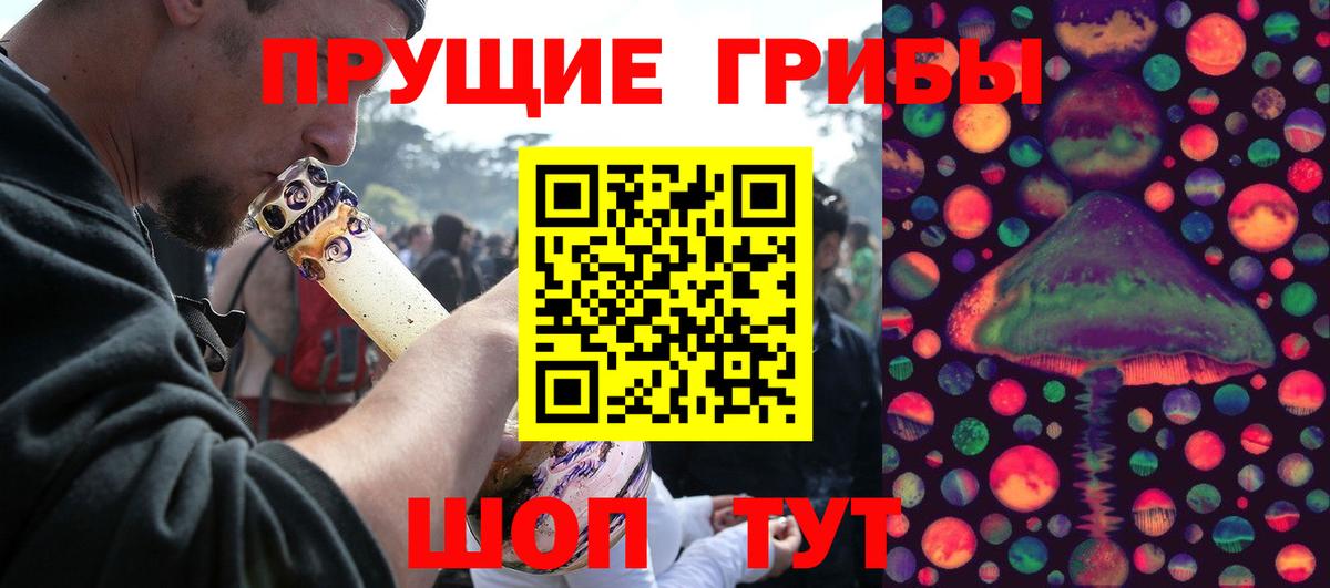 Псилоцибиновые грибы GOLDEN TEACHER Павлово